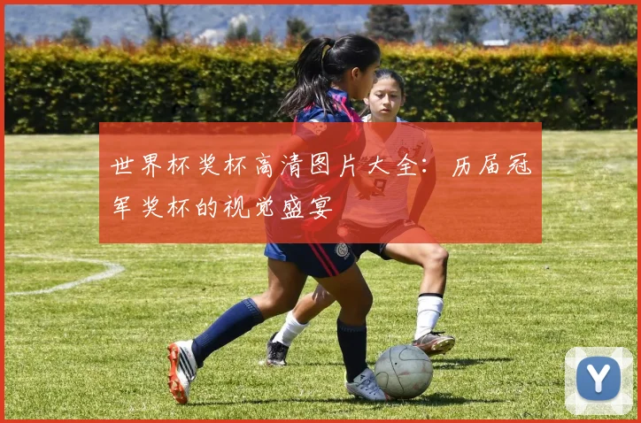 世界杯奖杯高清图片大全：历届冠军奖杯的视觉盛宴